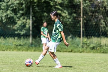 Bild 213 - wBJ Hamburger SV - VfL Wolfsburg : Ergebnis: 5:1